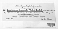 Pseudopeziza ranunculi image